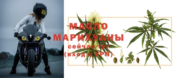 сатива Беломорск