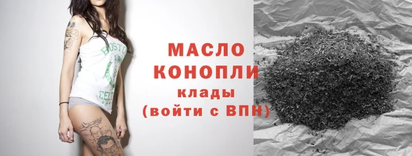 сатива Беломорск