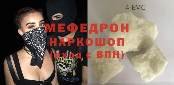 сатива Беломорск