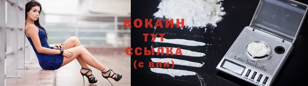 сатива Беломорск
