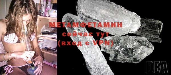 сатива Беломорск
