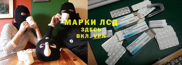 сатива Беломорск