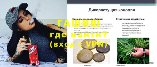 сатива Беломорск